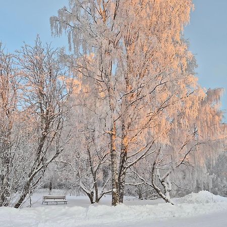 Tilava Uudistettu Perheasunto Apartment Rovaniemi Luaran gambar