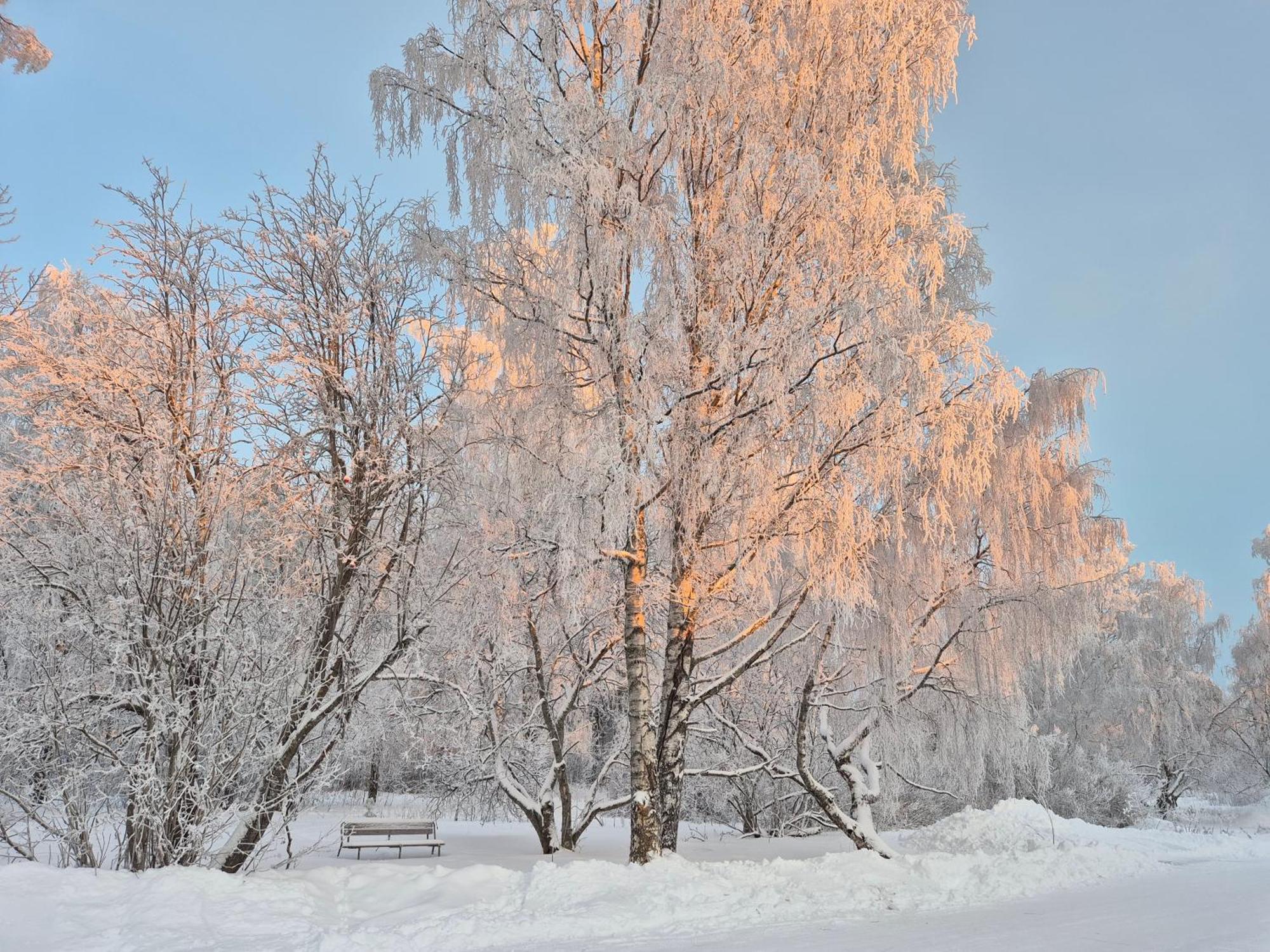 Tilava Uudistettu Perheasunto Apartment Rovaniemi Luaran gambar